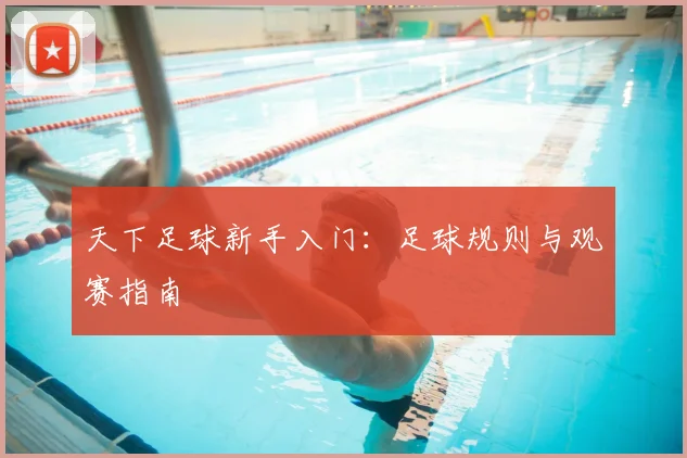 天下足球新手入门:足球规则与观赛指南