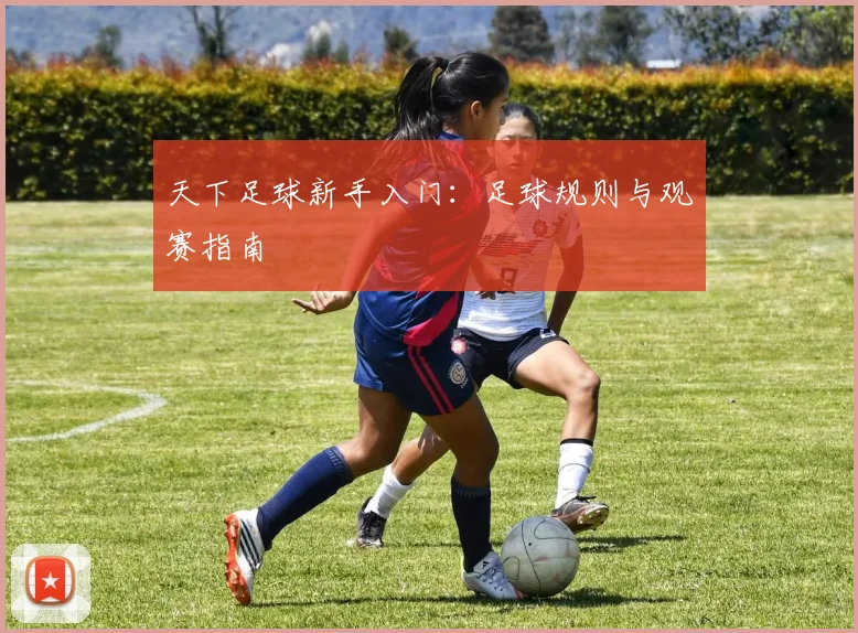 天下足球新手入门:足球规则与观赛指南